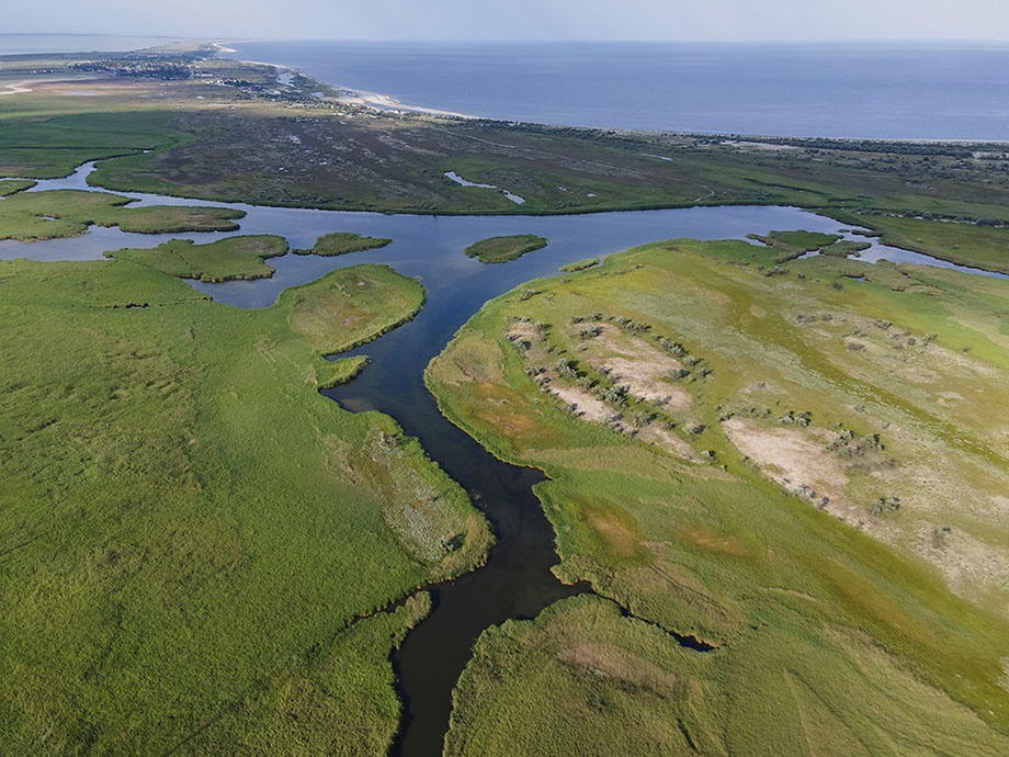 shutterstock_1794456193-D